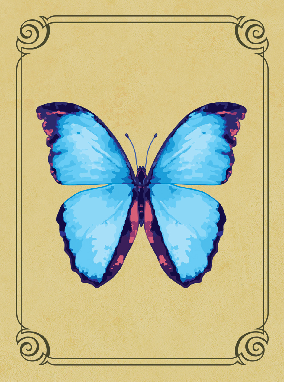 Butterfly Messages Oracle Cards