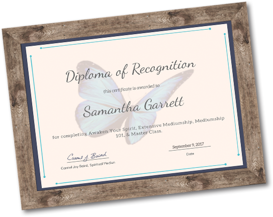 diploma of recognition in frame