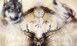 The Animal Spirit Guide Communication Mini Reading
