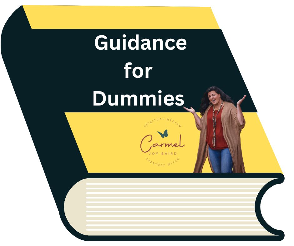 Guidance for Dummies