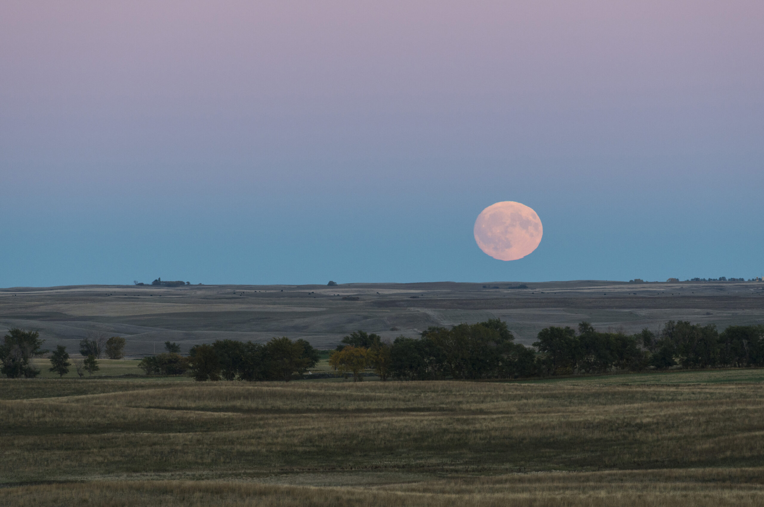 Ranch full moon