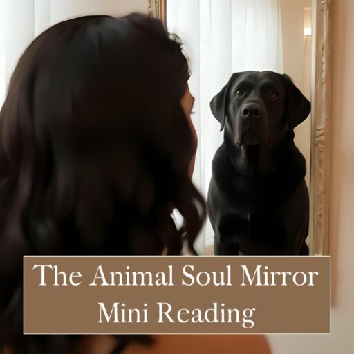 The Animal Soul Mirror Mini Reading