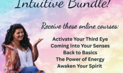Intuitive Course Bundle