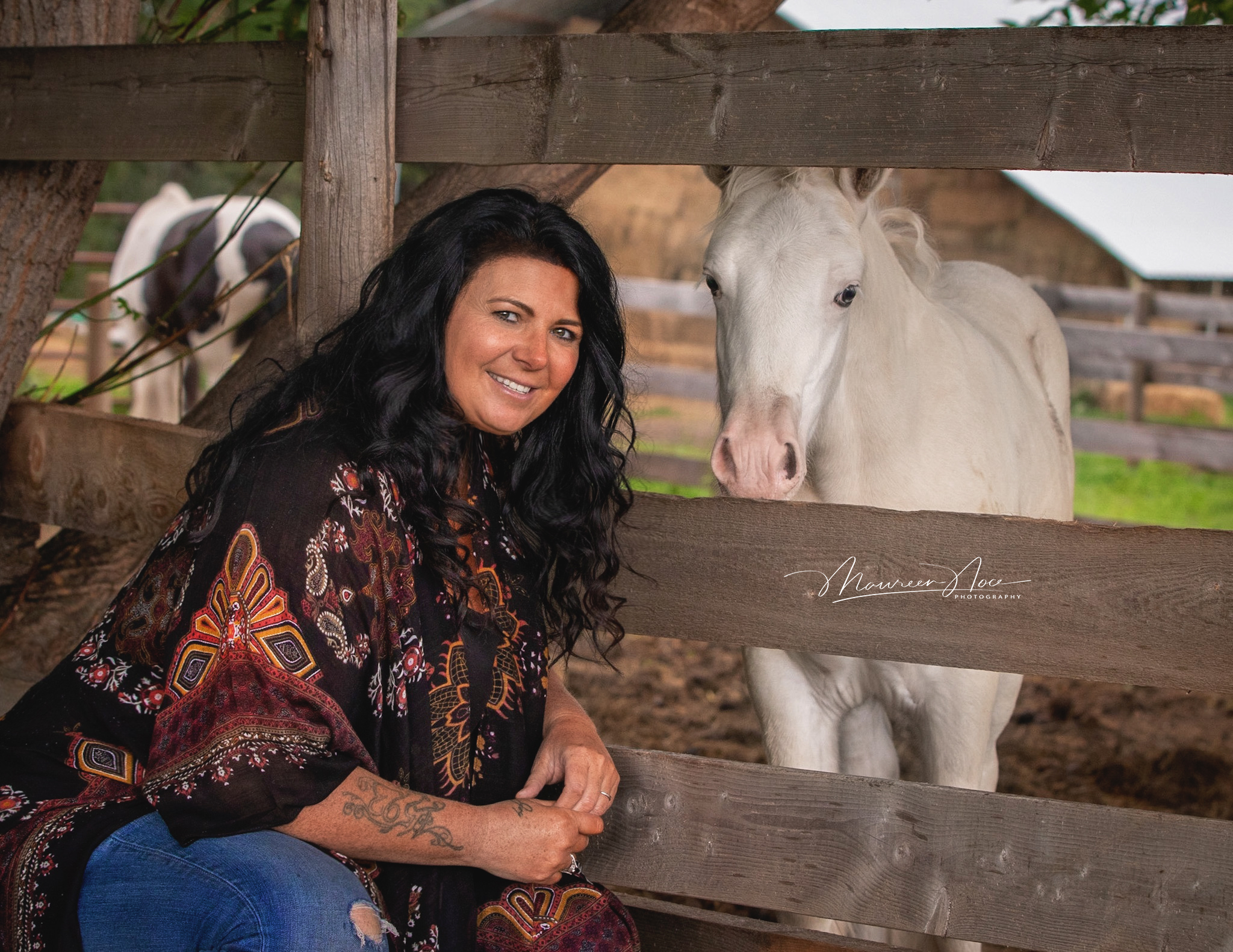 Carmel horse 4