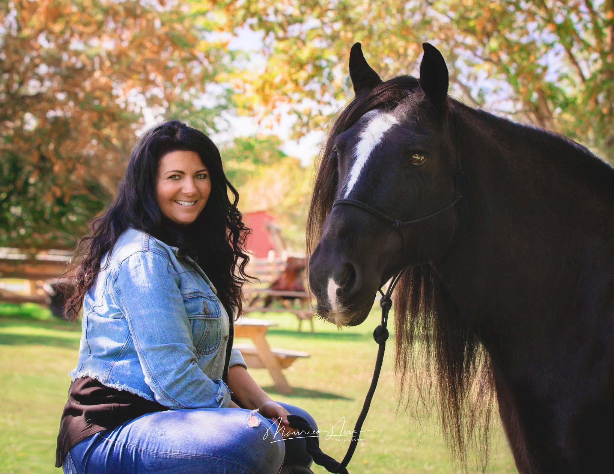 Carmel horse 2