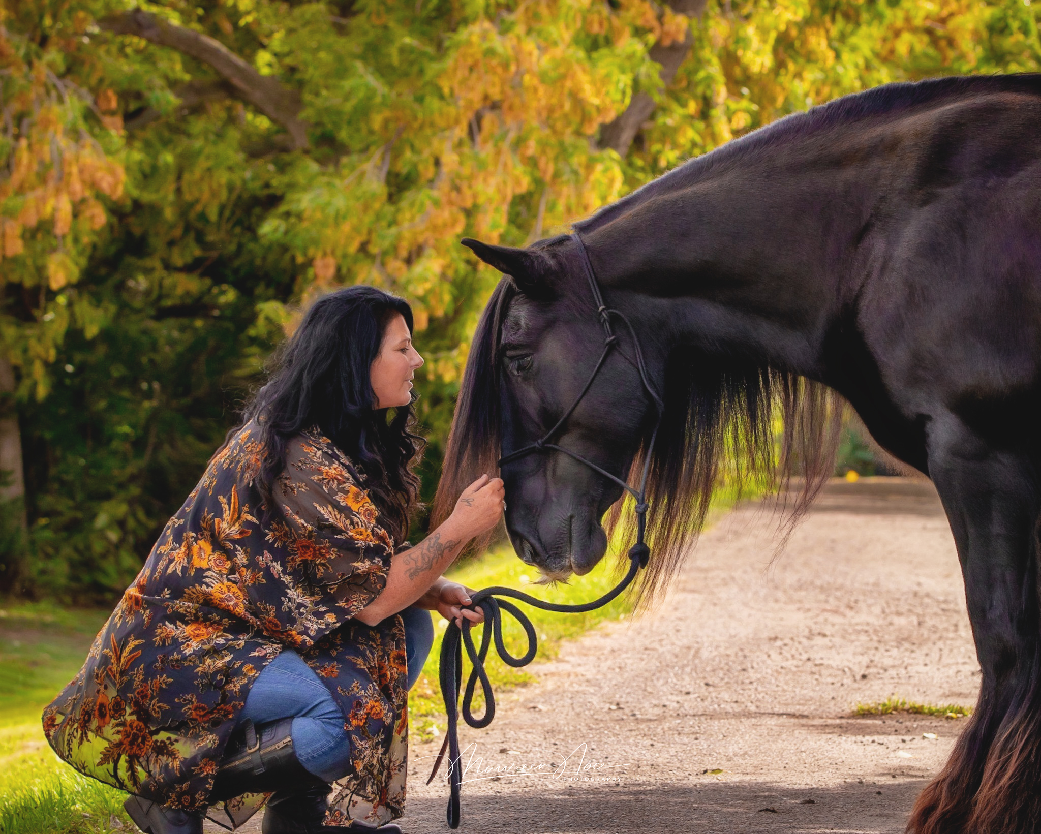Carmel horse 4