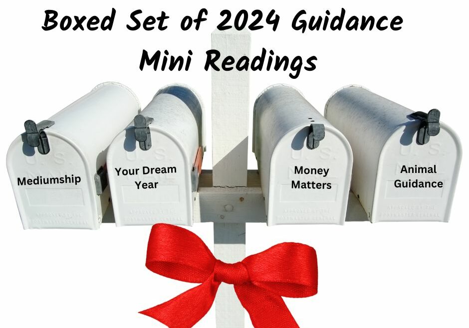 Boxed set of 2024 guidance