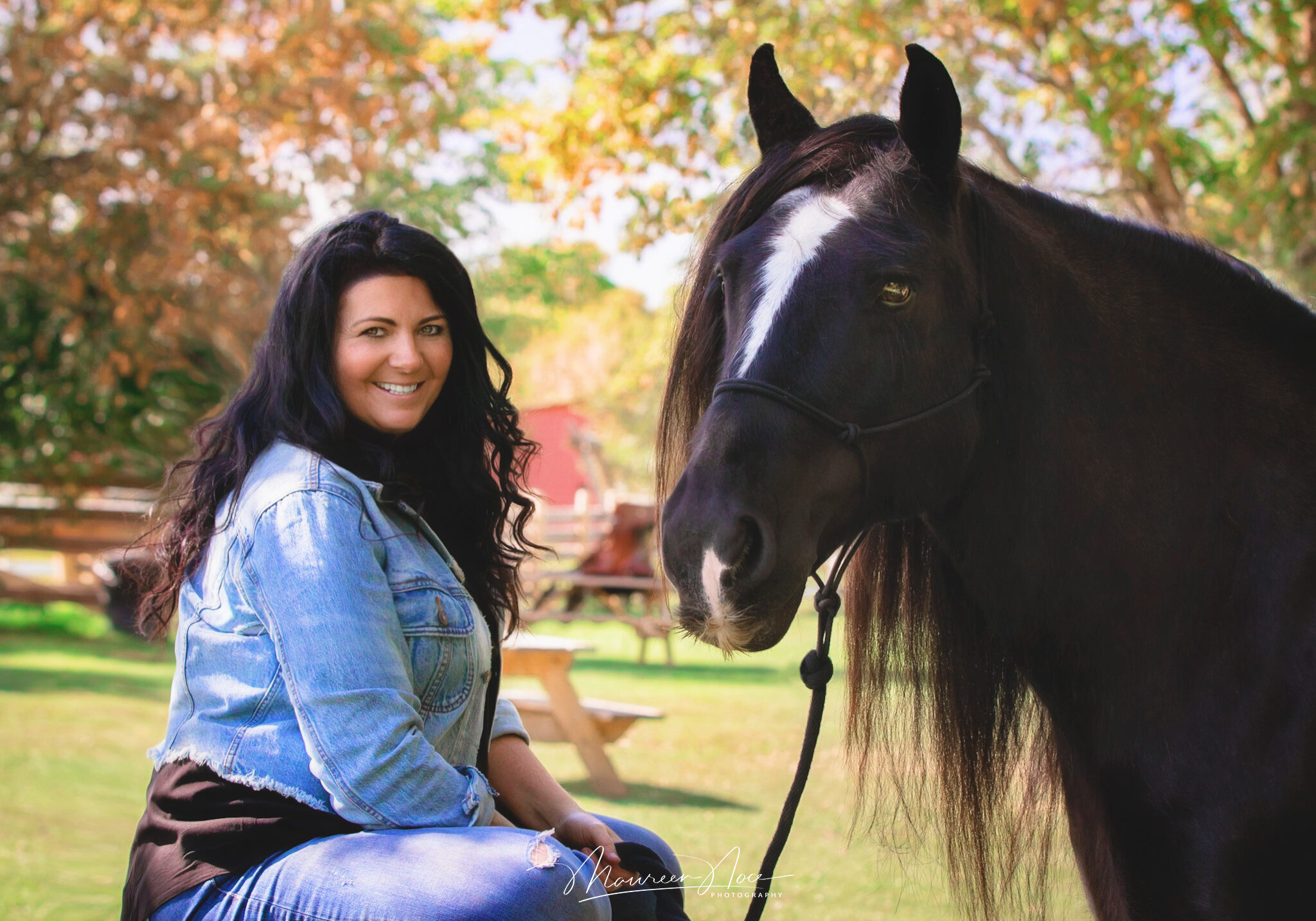Carmel horse 2